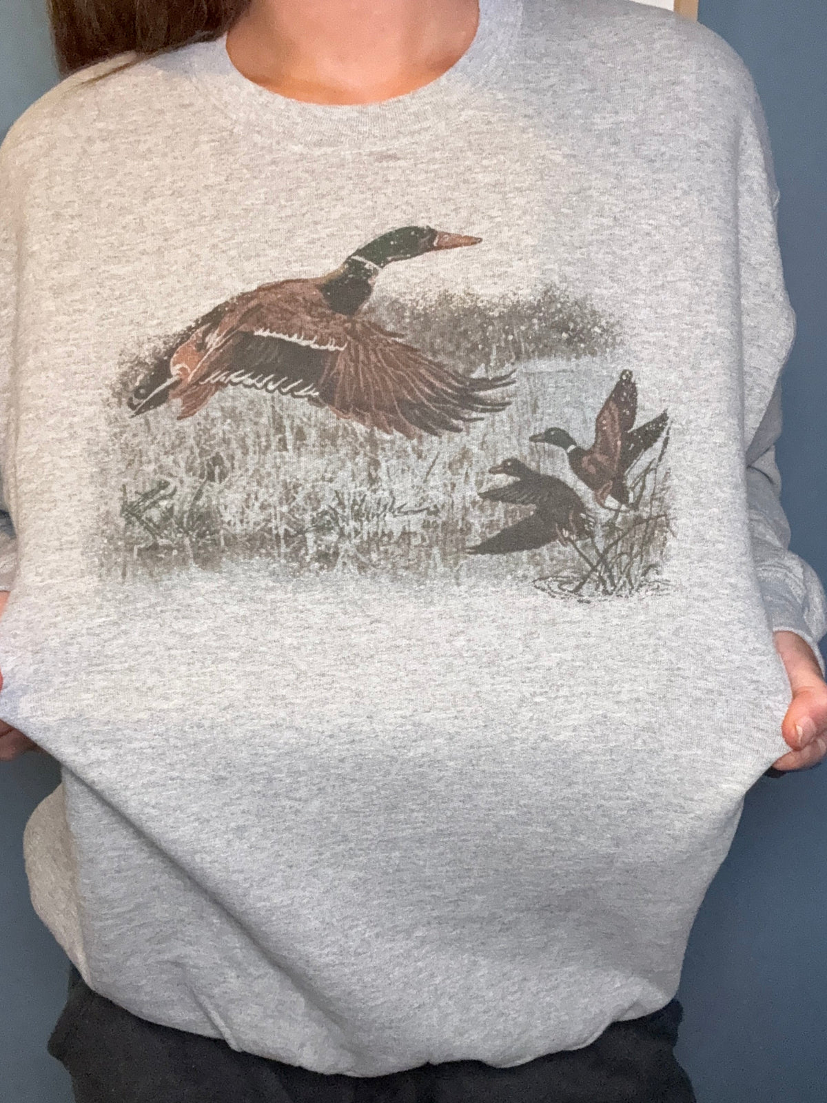 Retro Duck Scene