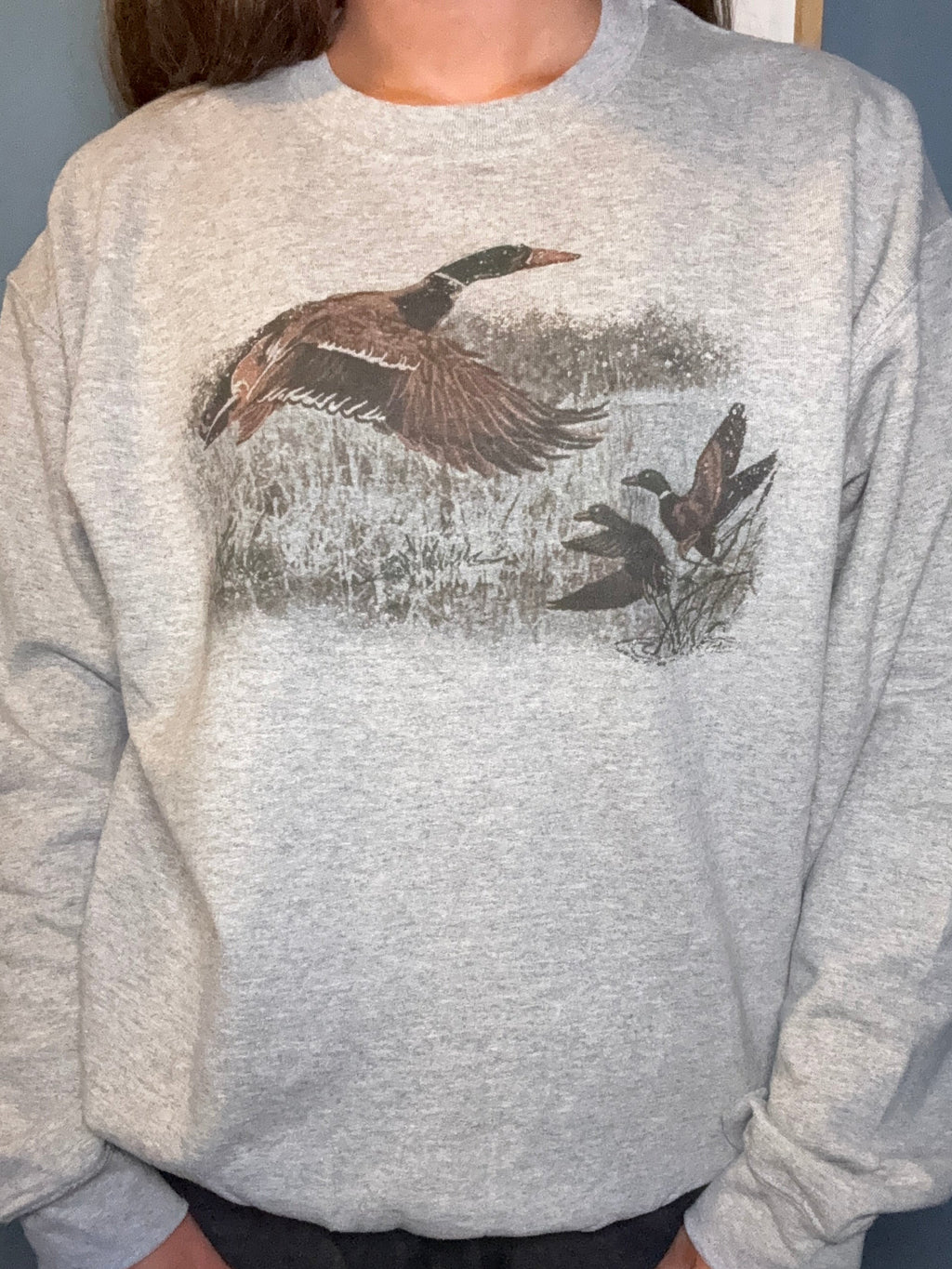 Retro Duck Scene
