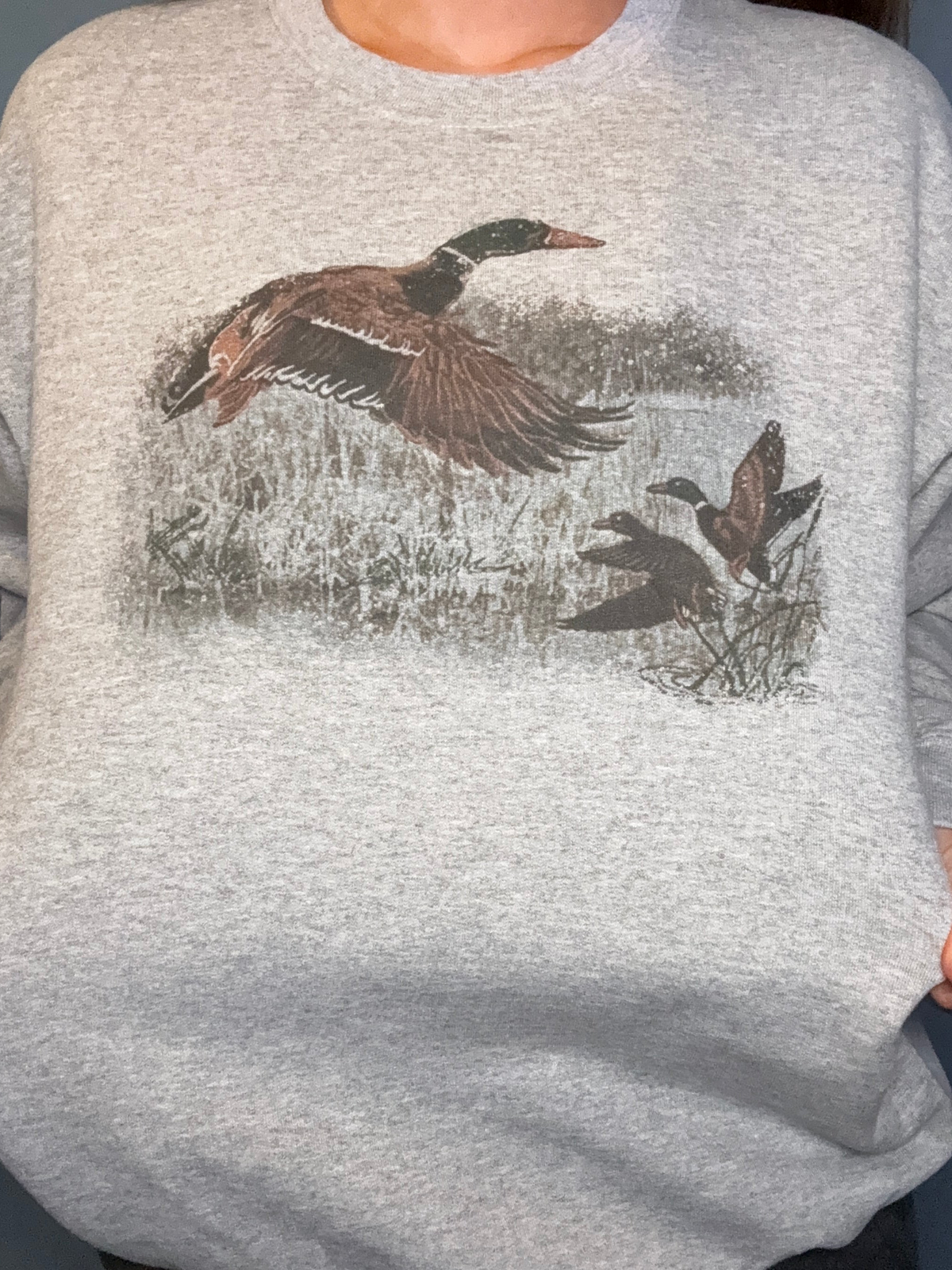 Retro Duck Scene